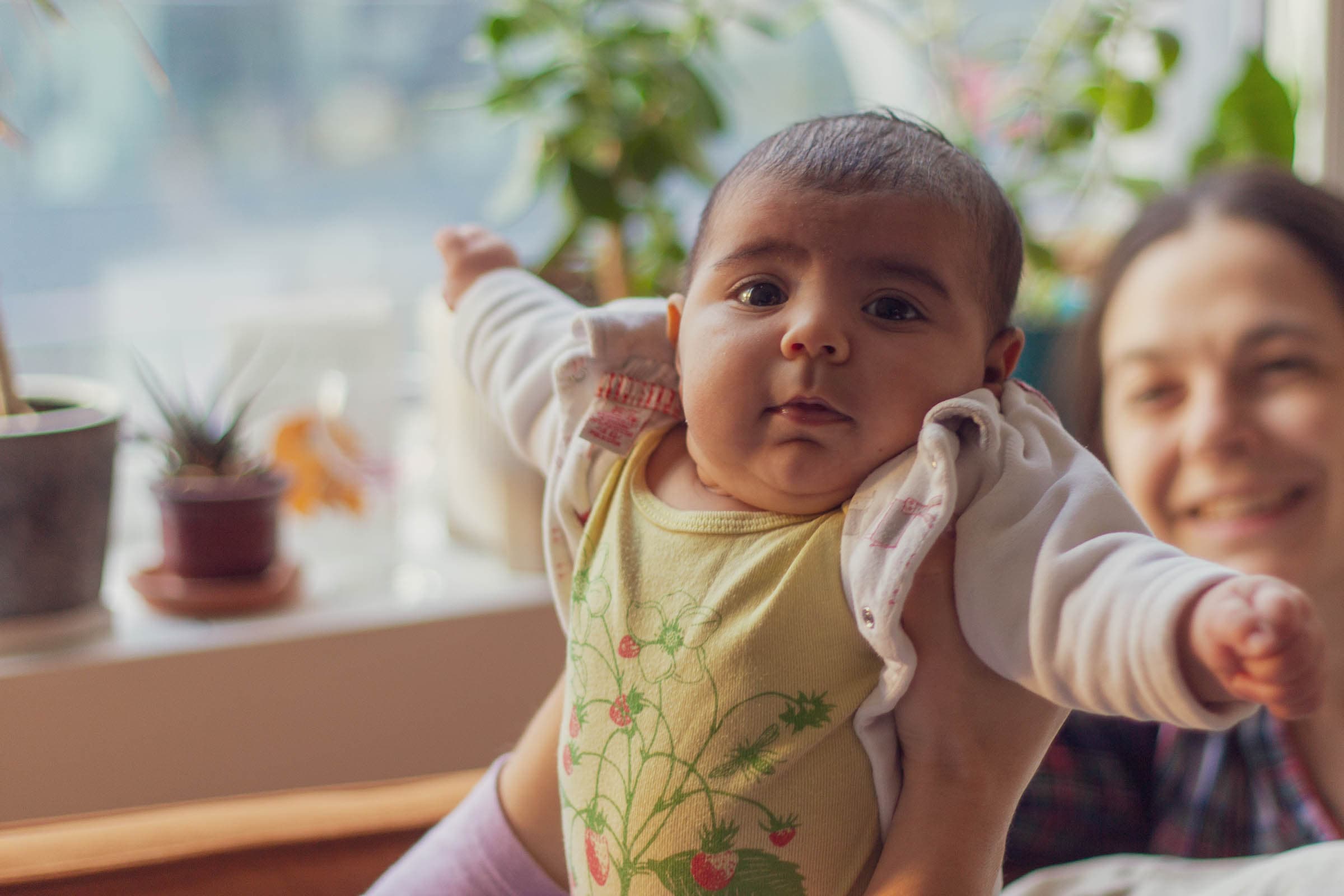 Cover Image for Fun in the sun.