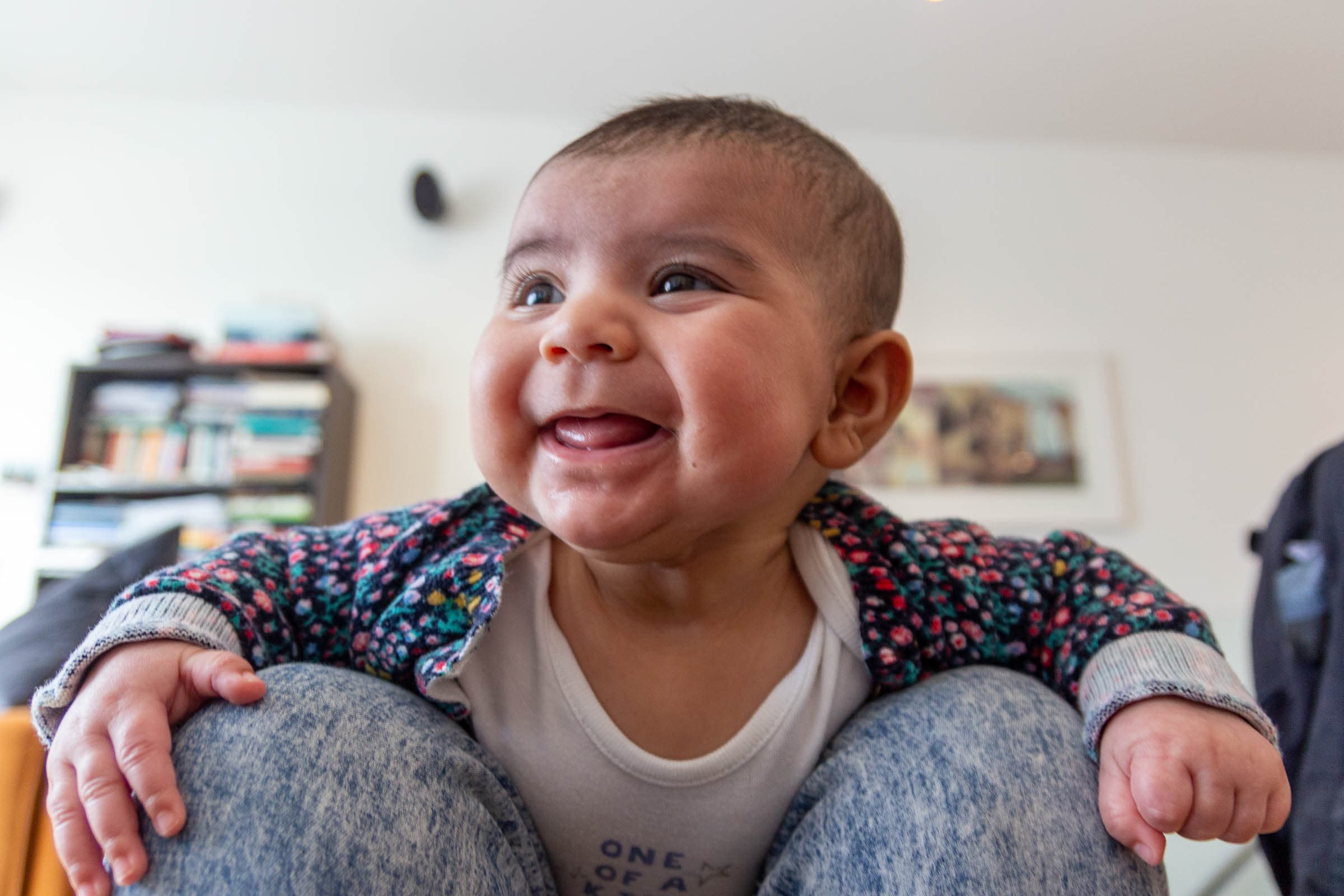 Cover Image for Ehh?